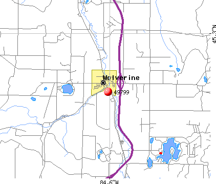 Wolverine, MI (49799) map