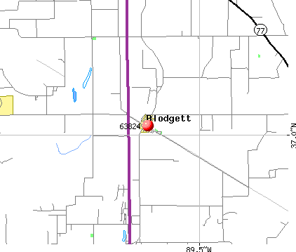 Blodgett, MO (63824) map