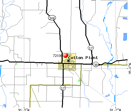 Cotton Plant, AR (72036) map
