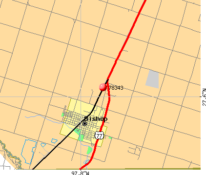Bishop, TX (78343) map