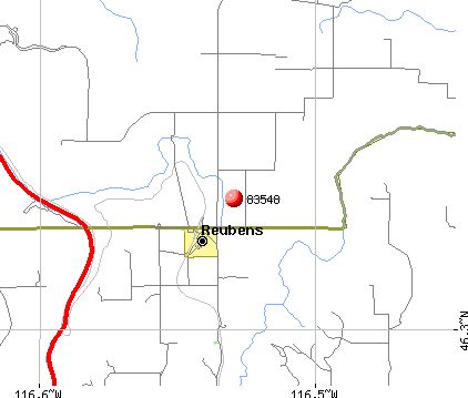 Reubens, ID (83548) map