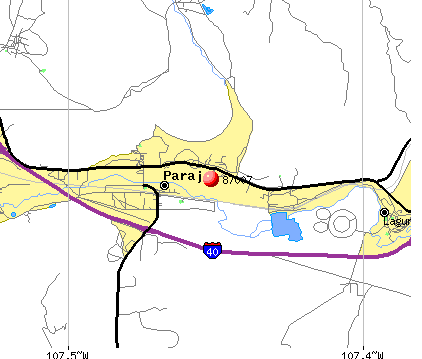 Paraje, NM (87007) map