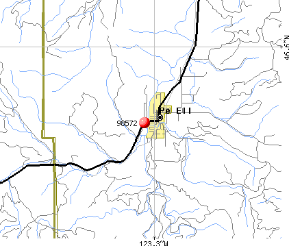Pe Ell, WA (98572) map