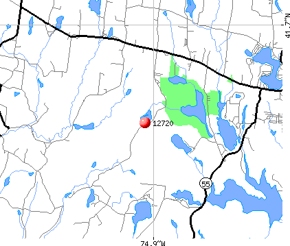 Bethel, NY (12720) map