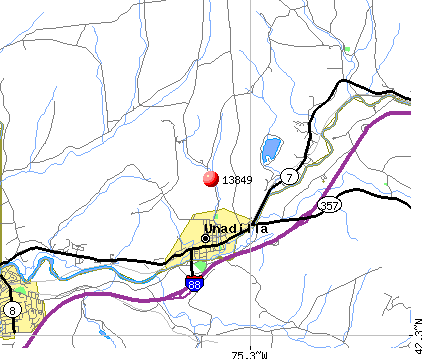 Unadilla, NY (13849) map