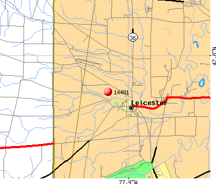 Leicester, NY (14481) map