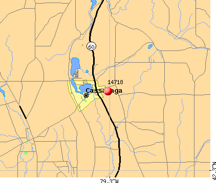 Cassadaga, NY (14718) map
