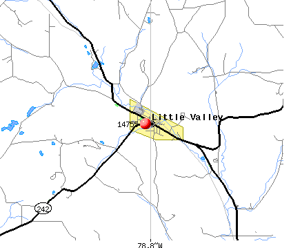 Little Valley, NY (14755) map