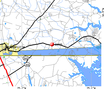 Selbyville, DE (19975) map