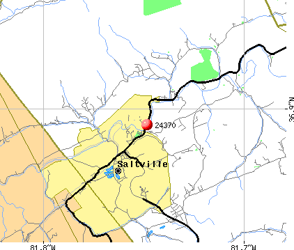 Saltville, VA (24370) map