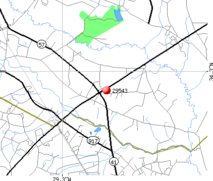 Fork, SC (29543) map