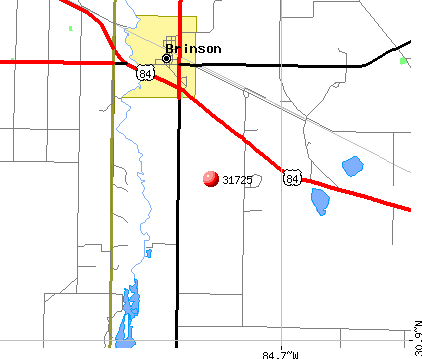 Brinson, GA (31725) map