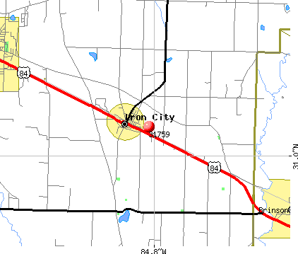 Iron City, GA (31759) map