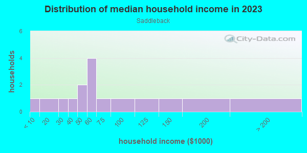 Household income distribution in 2013 in Saddleback in Grand Junction neighborhood in CO