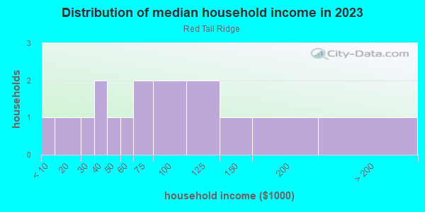 Household income distribution in 2013 in Red Tail Ridge in Grand Junction neighborhood in CO