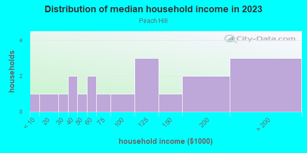 Household income distribution in 2013 in Peach Hill in Grand Junction neighborhood in CO