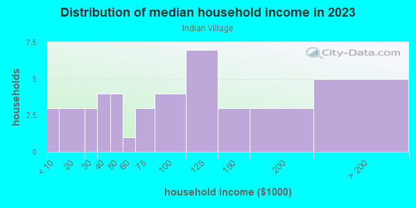 Household income distribution in 2013 in Indian Village in Grand Junction neighborhood in CO