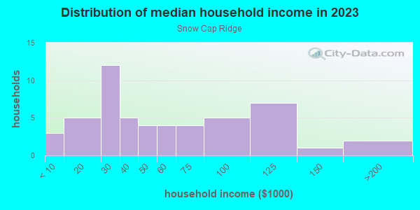 Household income distribution in 2013 in Snow Cap Ridge in Denver neighborhood in CO