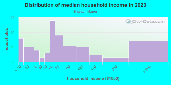 Household income distribution in 2013 in Brighton Manor in Brighton neighborhood in CO