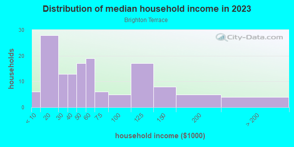Household income distribution in 2013 in Brighton Terrace in Brighton neighborhood in CO
