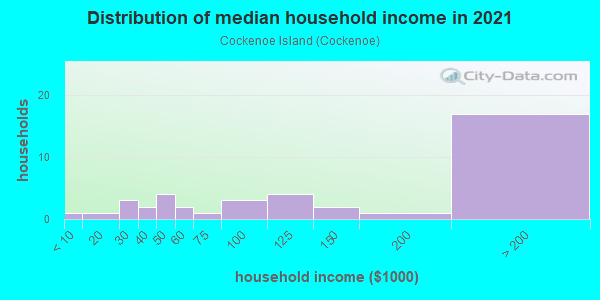 Household income distribution in 2013 in Cockenoe Island in Westport neighborhood in CT