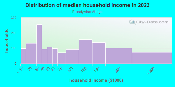 Household income distribution in 2013 in Brandywine Village in Wilmington neighborhood in DE