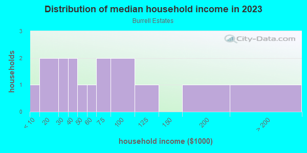 Household income distribution in 2013 in Burrell Estates in Lutz neighborhood in FL