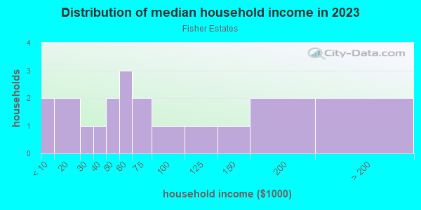 Household income distribution in 2013 in Fisher Estates in Tampa neighborhood in FL