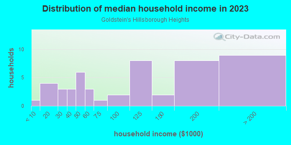 Household income distribution in 2013 in Goldstein's Hillsborough Heights in Tampa neighborhood in FL