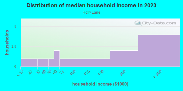 Household income distribution in 2013 in Holly Lane in Lutz neighborhood in FL