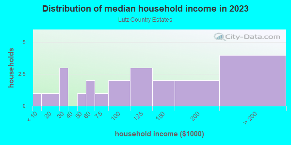 Household income distribution in 2013 in Lutz Country Estates in Lutz neighborhood in FL