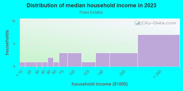 Household income distribution in 2013 in Puleo Estates in Lutz neighborhood in FL