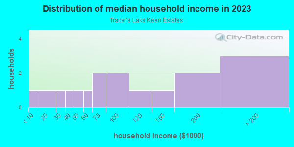 Household income distribution in 2013 in Tracer's Lake Keen Estates in Lutz neighborhood in FL