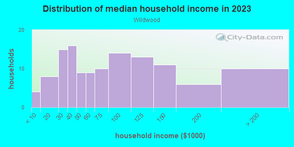 Household income distribution in 2013 in Wildwood in Lutz neighborhood in FL