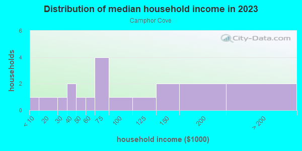 Household income distribution in 2013 in Camphor Cove in Lutz neighborhood in FL