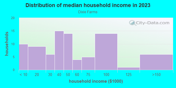 Household income distribution in 2013 in Dixie Farms in Tampa neighborhood in FL