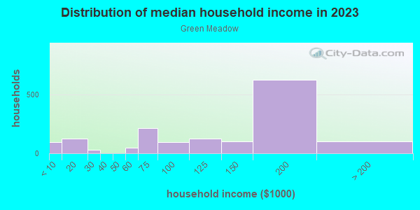 Household income distribution in 2013 in Green Meadow in Lutz neighborhood in FL
