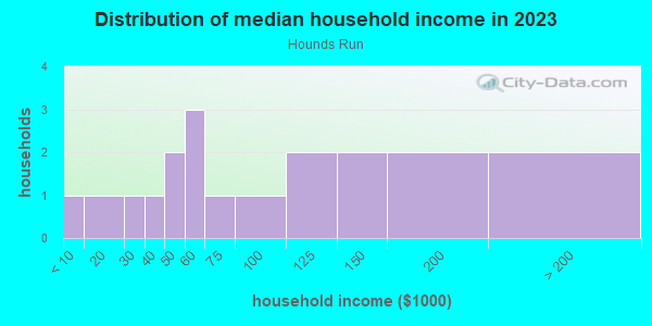 Household income distribution in 2013 in Hounds Run in Lutz neighborhood in FL