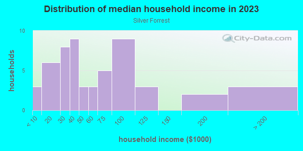 Household income distribution in 2013 in Silver Forrest in Lutz neighborhood in FL