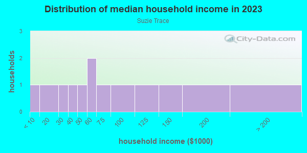 Household income distribution in 2013 in Suzie Trace in Lutz neighborhood in FL