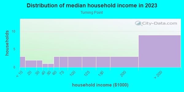 Household income distribution in 2013 in Turning Point in Lutz neighborhood in FL