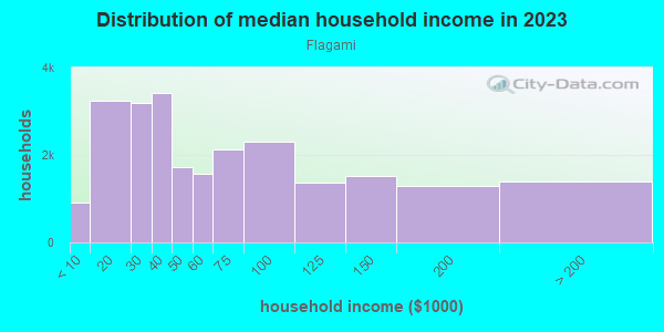 Household income distribution in 2013 in Flagami in Miami neighborhood in FL