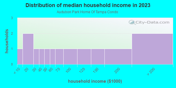 Household income distribution in 2013 in Audubon Park Home Of Tampa Condo in Tampa neighborhood in FL