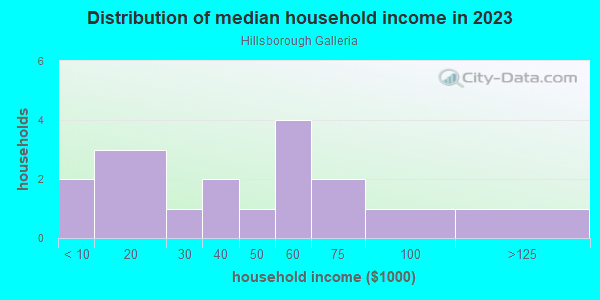 Household income distribution in 2013 in Hillsborough Galleria in Tampa neighborhood in FL