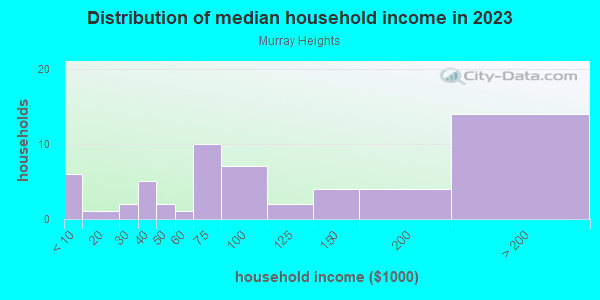 Household income distribution in 2013 in Murray Heights in Tampa neighborhood in FL