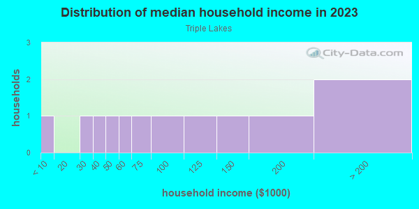Household income distribution in 2013 in Triple Lakes in Lutz neighborhood in FL