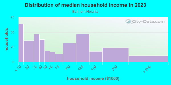 Household income distribution in 2013 in Belmont Heights in Tampa neighborhood in FL