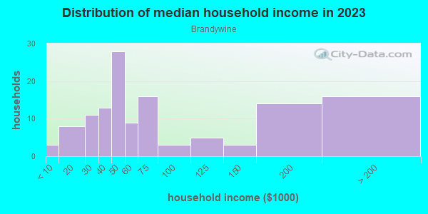 Household income distribution in 2013 in Brandywine in Deland neighborhood in FL