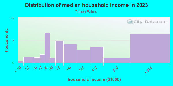 Household income distribution in 2013 in Tampa Palms in Tampa neighborhood in FL