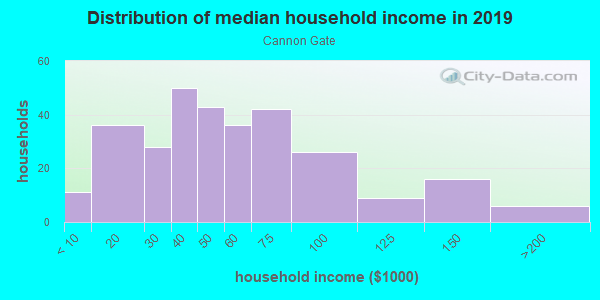 Household income distribution in 2013 in Cannon Gate in Orlando neighborhood in FL